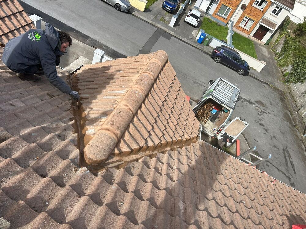 Roof Repairs