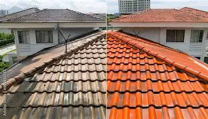 Roof Cleaning & Maintenance